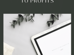 Digital Products to Profits